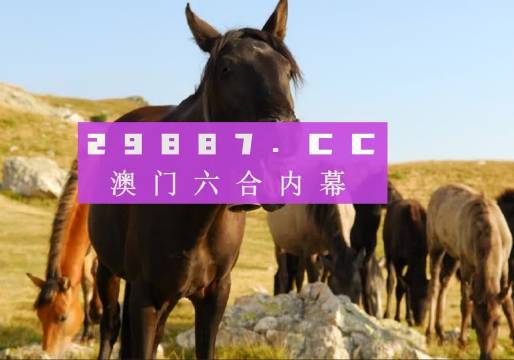 澳门和香港管家婆100%精准图片,精选解释解析落实|最佳精选