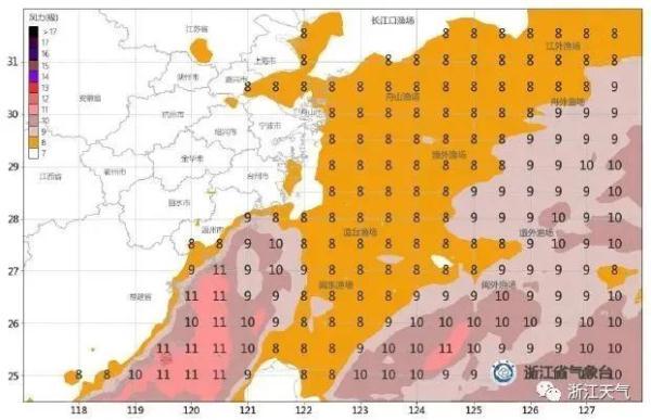 最新胚胎台风11号海峡